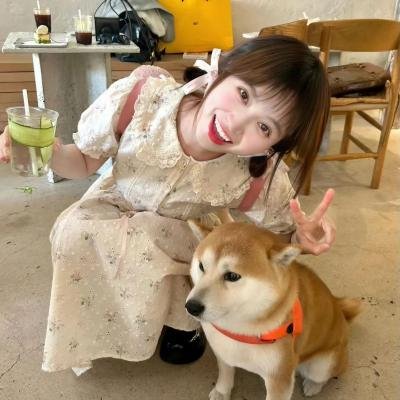 廉政行动组粤语 海报